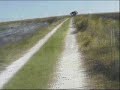 adayinthelife.wmv adayinthelife.wmv