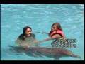 my mom swimming with dophins