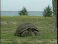 videos de Seychelles Travel Doc Part 09