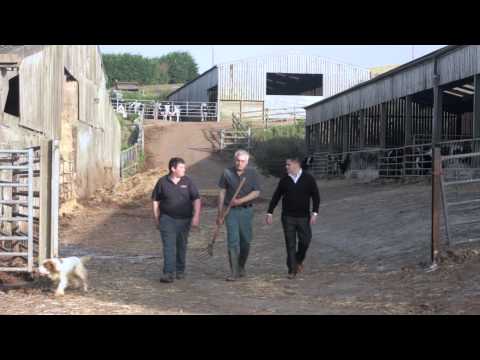 How Clean Energies Investor Works