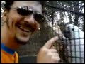 pappagalli al parco