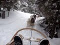 Newfoundland Adventures - Dog Sledding in a snowstorm over Gros Morne