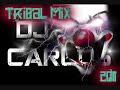 TRIBAL MIX 2011 #7 (DJ Carlos)