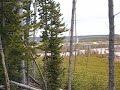 Norris Geyser Basin Yellowstone National Park (overview)