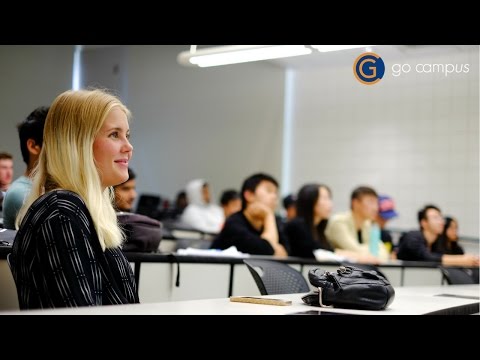 Bolsas para Universidades Americanas