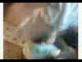 germin en belgica (2)