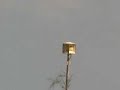 video taken on august 31, 2007 from the parking lot of the rick kline sports complex on s. grand st. across from the comanche trail golf complex.  i tried to get in a position to hear more than the sd-10.  you can also hear 2 asc cyclones (one of them is in the first video i shot) and a federal signal 2001 which is about 3/4 of a mile behind me. you can hear it when it is pointing towards the camera.  the cyclones almost drown out the sd-10. it makes for a strange sound.  the people that live in this area of se amarillo should have no problem hearing a warning!