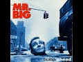 Promise Her The Moon - Mr. Big