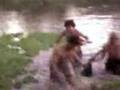 videos de pimpo caceria completa