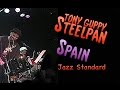 Spain ( Chick Corea ) * Tony Guppy ( Steelpan )