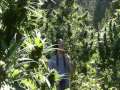 DEAR DANKO: Advice for Growers