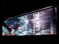 PIRANHA feeding - www.piranhaportal.net - THE ITALIAN PORTAL