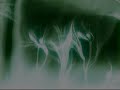 Sorella Sconfitta