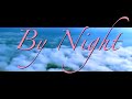 Steven Brown and Marc Lerchs - By Night