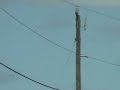 july 4th space shuttle discovery launch and ufo