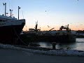 gloucester fishing boat endeavor returning home at sunrise march 2, 2008