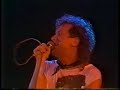 Luanne - Foreigner Luanne - Foreigner