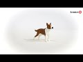 Miniature vidéo Figurine de Bull Terrier