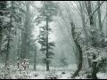 ODE a la nature et a son respect