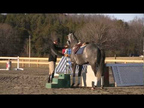 horse racing