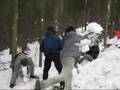 jarní táboření - Libín - 2/2007