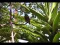 Casa Blanca Tree of Life - Part 1