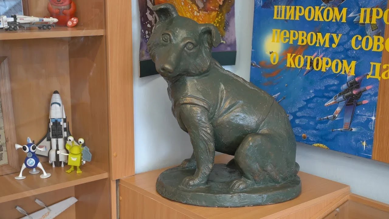 какое имя дали манекену летавшему в космос с чернушкой и звездочкой. Смотреть фото какое имя дали манекену летавшему в космос с чернушкой и звездочкой. Смотреть картинку какое имя дали манекену летавшему в космос с чернушкой и звездочкой. Картинка про какое имя дали манекену летавшему в космос с чернушкой и звездочкой. Фото какое имя дали манекену летавшему в космос с чернушкой и звездочкой какое имя дали манекену летавшему в космос с чернушкой и звездочкой. Смотреть фото какое имя дали манекену летавшему в космос с чернушкой и звездочкой. Смотреть картинку какое имя дали манекену летавшему в космос с чернушкой и звездочкой. Картинка про какое имя дали манекену летавшему в космос с чернушкой и звездочкой. Фото какое имя дали манекену летавшему в космос с чернушкой и звездочкой