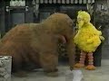 Re: Sesame Street - Big Bird & Snuffy Reminisce Re: Sesame Street - Big Bird & Snuffy Reminisce