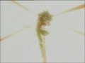 Dragon Ball Z/GT AMV - Thoughtless Dragon Ball Z/GT AMV - Thoughtless