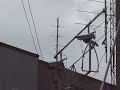 Rotator for Satellite - ISS  Communications