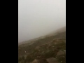 video1.mov Video