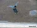 Roue Muraille Atae - Parkour wilaya