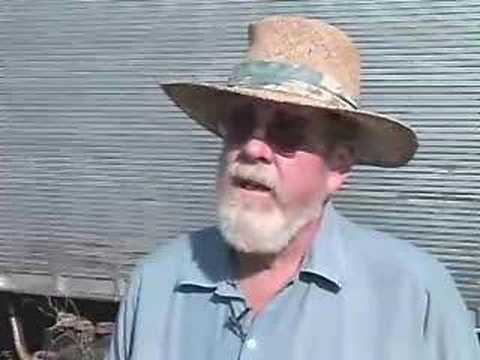Vanishing Bees - Voice of America