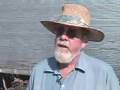 Vanishing Bees - Voice of America