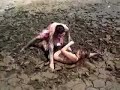 MUD WRESTLING FIGHTS