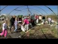 Landshare | Landshare community grows | channel4
