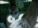 1996 NBC Commercials 1996 NBC Commercials
