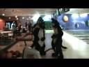 Howloween 2008 (Day 2) - Fursuit Bowling Howloween 2008 (Day 2) - Fursuit Bowling