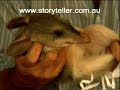 Part 5 Mini Kangaroos and other Marsupials