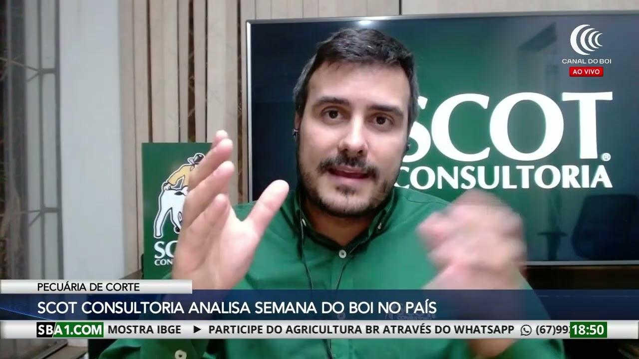 Scot aponta recuo nas compras e aposta em pressão de preços nesta semana