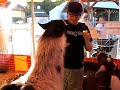 Cory (The Compound) Being Eaten Alive by Animals at a Petting Zoo
