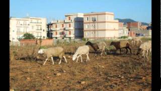 Cheb Ilyes - Weli Wela Rohi