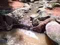 RAINWATER HARVESTING SYSTEM PT.2