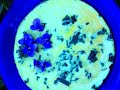 EatTheWeeds: Episode 15: Spiderwort, Tradescantia EatTheWeeds: Episode 15: Spiderwort, Tradescantia