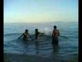 Treles stin paralia