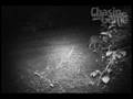 HCO ScoutGuard - Coyotes by Chasingame!