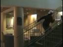 Video Production Assignment 3 - Story Video