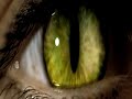 Cat Woman - Trailer