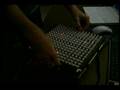 tehn live