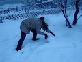 Os abominaveis homens da neve Os abominaveis homens da neve